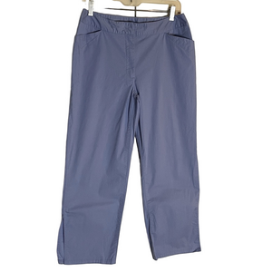 STYLE & CO Ankle Cropped Pants, Women’s Size 10, Periwinkle